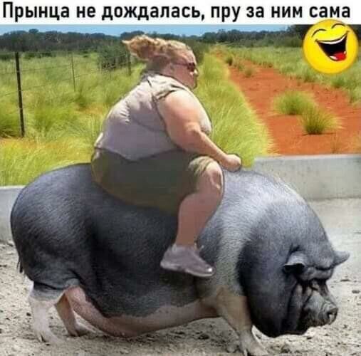 Ассорти из сети