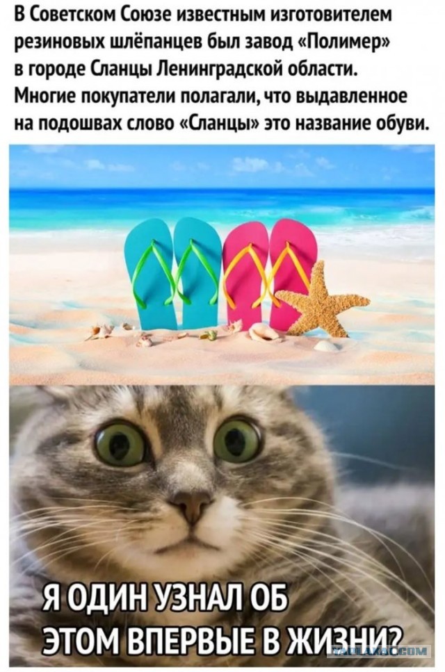 Немного картинок для настроения 07.05.20