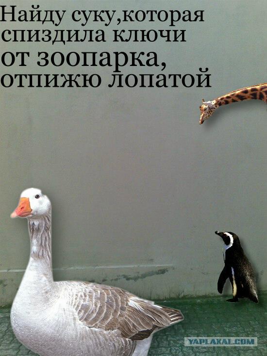 Убегающая стена