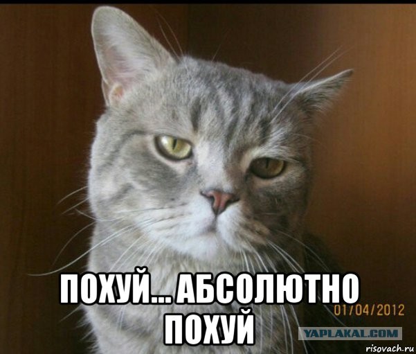 Вместо критики России  можешь сделать хотя бы так лично ты?