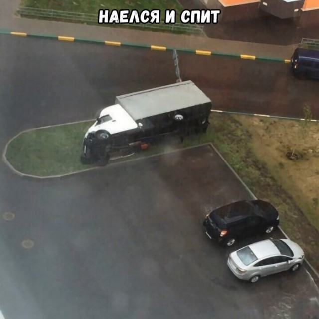 Мемы и смешные картинки