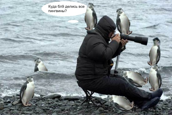 Внимательный фотограф