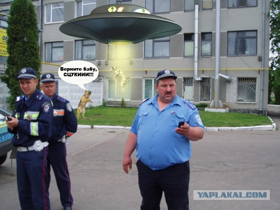 толстые менты