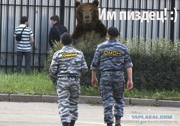 "Смелый" мишка