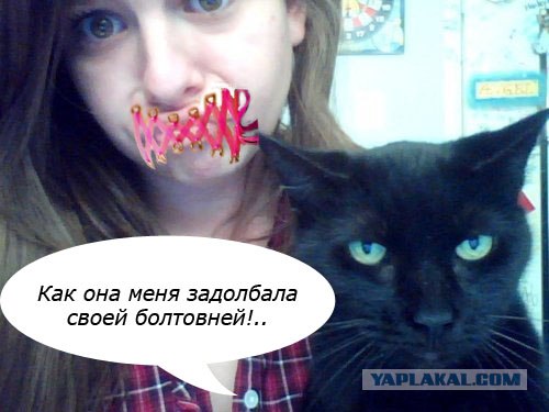Фотожаба: Я и моя сраная хозяйка