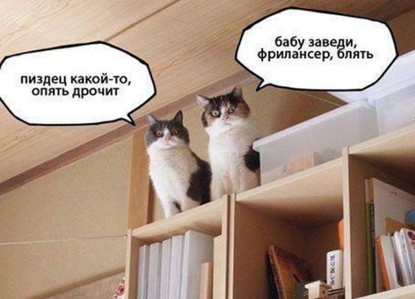 Новую порцию лайтовой чернушки не желаете?
