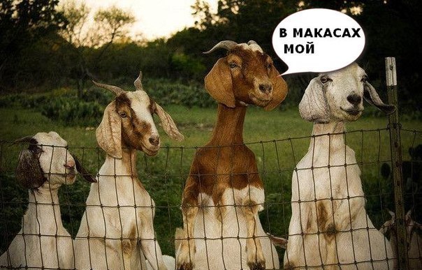 Жестокое избиение промоутеров на Арбате!