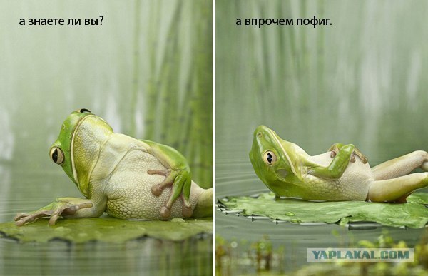 Задорнов снял фильм о нашей настоящей истории