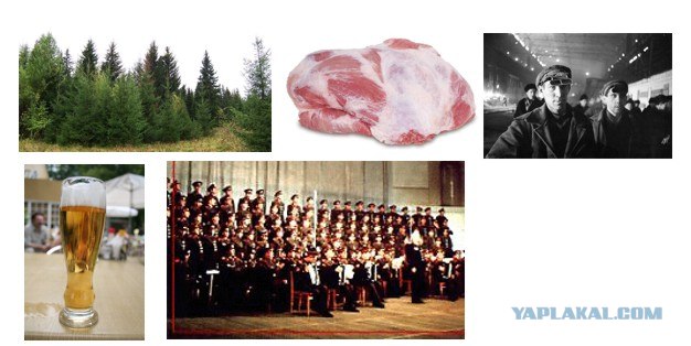 Ребусы