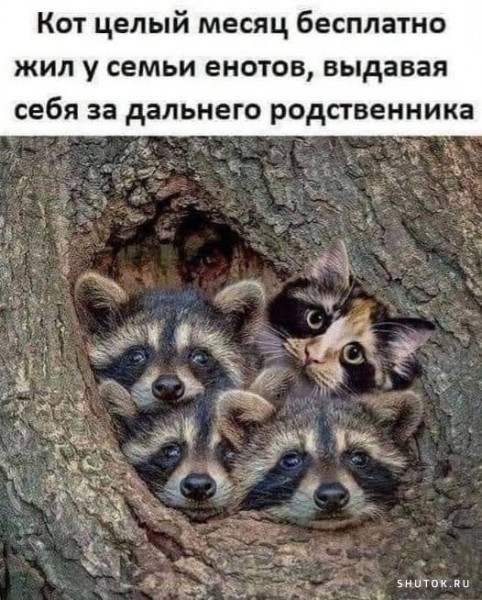 Так себе картинки 20.06.21
