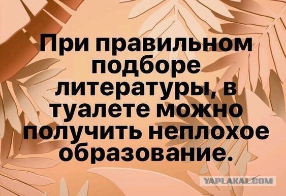 Картинки и мемы для настроения 21.10.21