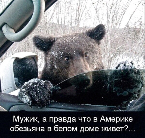 Так себе картинки 17.12.2021