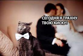 Пятница. И немного слегка пошлых картинок с надписями и без 16+ (18.03)