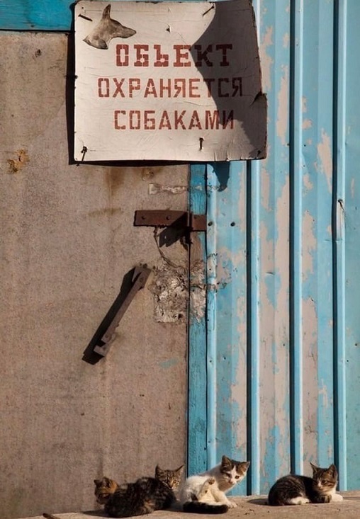40 картинок разных 07.04.2022