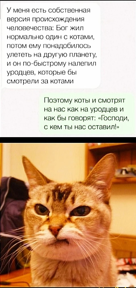Картинки с надписями и всякие жизненные фразы