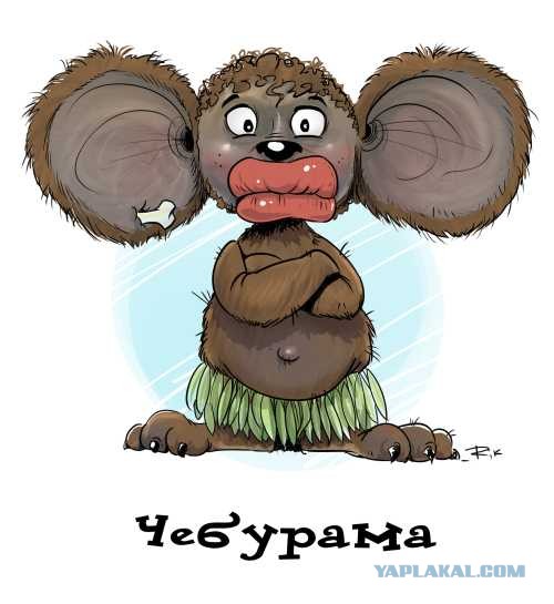 В Буркина-Фасо проходят акции против нахождения французских военных в стране и с требованием заменить их на российских солдат.
