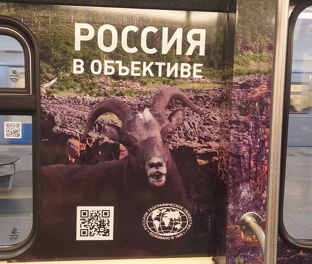 Украинцы ужаснулись внешнему виду Зеленского.
