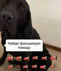 Картинки и мемы для настроения - 123