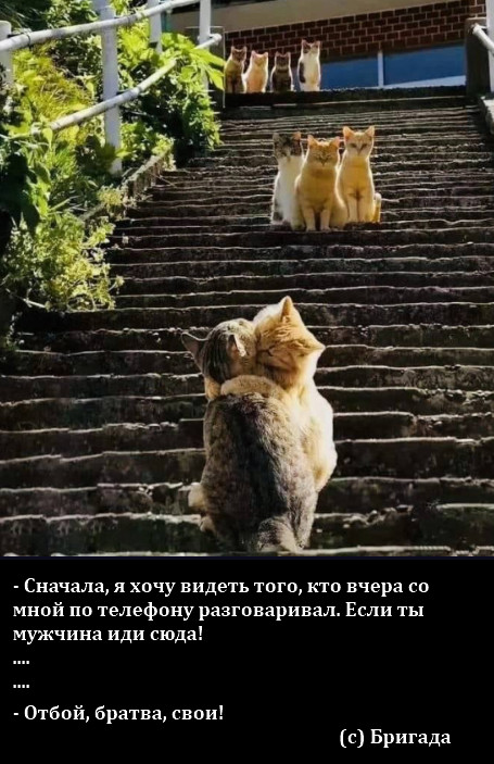 Картинки и мемы для настроения - 123