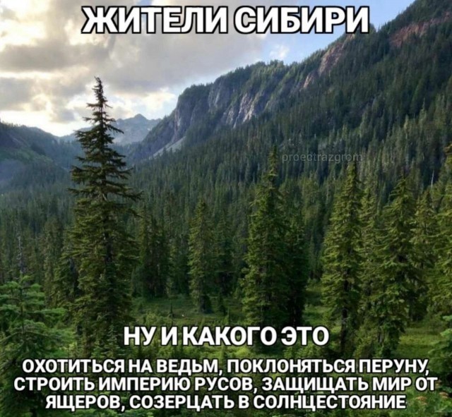 Всего понемногу. От 10.11.23