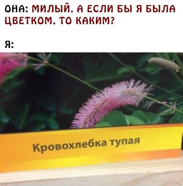 Сброс балласта. Картинки