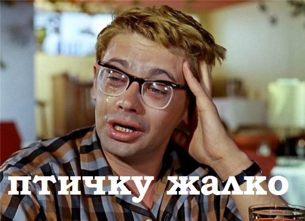 Душераздирающие кадры из Питера — у бедолаги разбился пузырь...