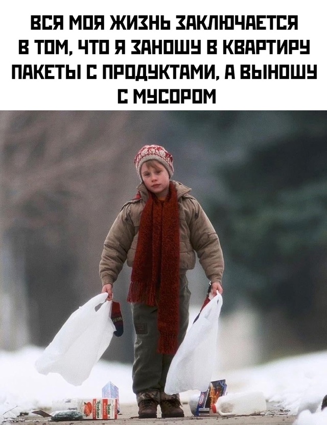 Весёлый полтишок 08.01.25