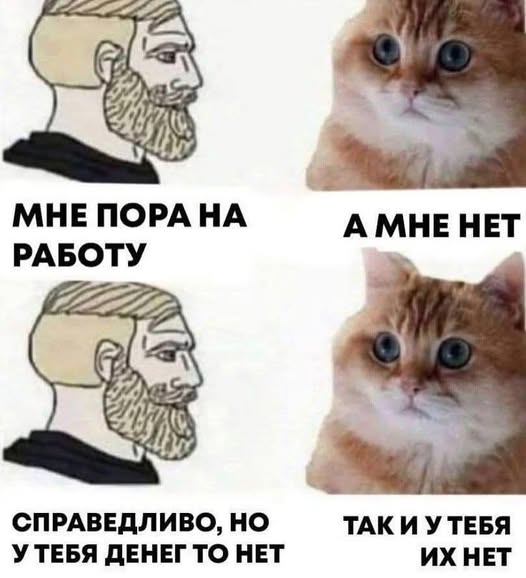 Так себе картинки 04.03.25