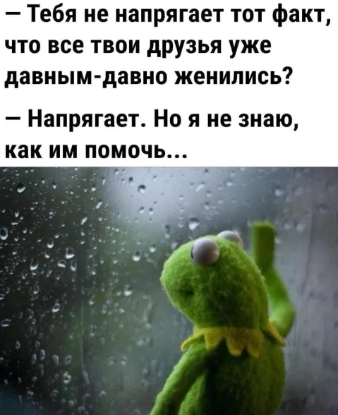 Юмор для тех, кто уже повзрослел и понял, что «свободное время» — это мираж в пустыне
