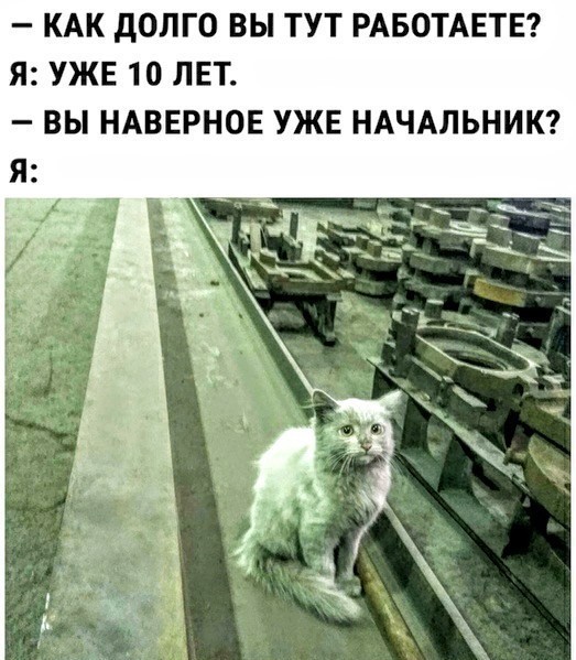 Ответ на пост о девушке с завода