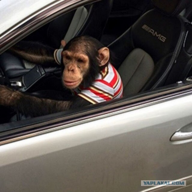 17-летний Адам празднует свою свадьбу