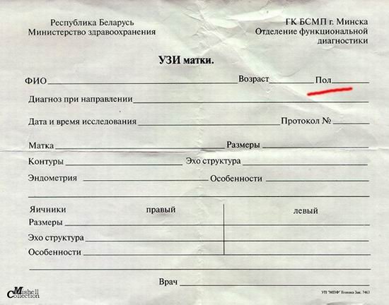 Пора деградировать. Дичь