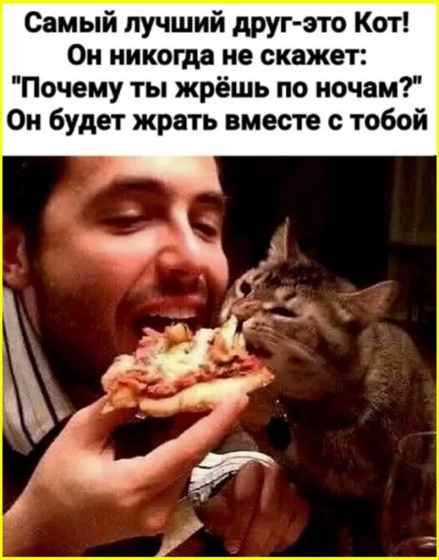 К котовторнику: подборка картинок-баянов с котиками и про котиков. Выпуск 22