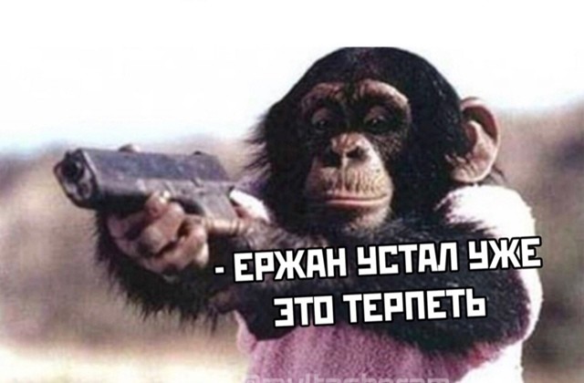 Всего лишь сон