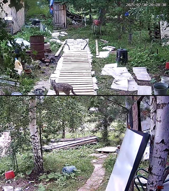 Вот и мне 50, стукнуло)))