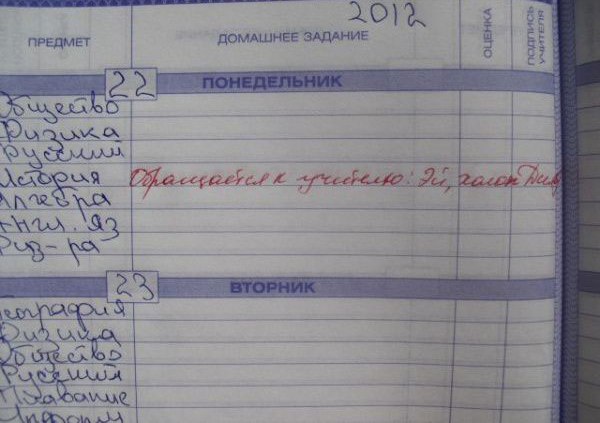 Записи в Дневниках