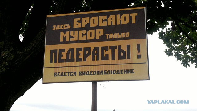 Картинки