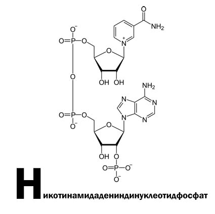 Мега-азбука