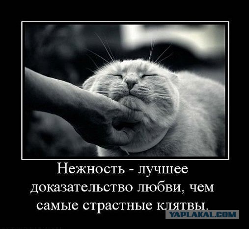 Давно демотиваторов не было