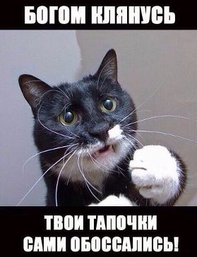 Узнал хозяина и ОПУПЕЛ! :)
