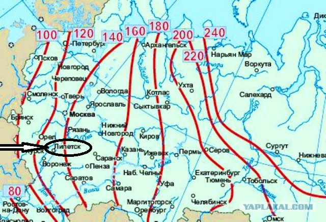 Дворец своими руками