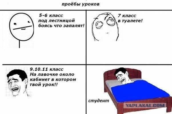 Прикольные картинки из сети