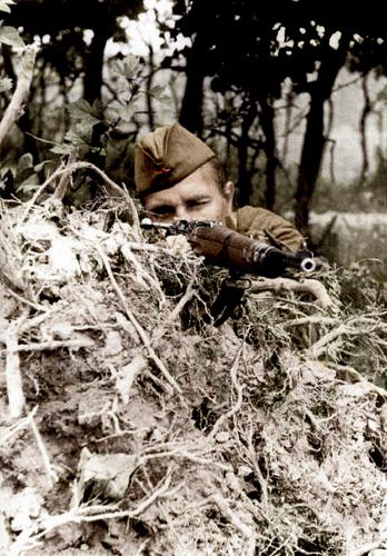 Снайпер. 1940-41 г.