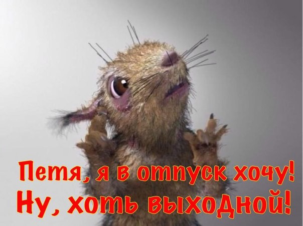 10 политических картинок часть 12