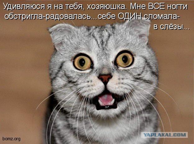 Картинки разные с интернету