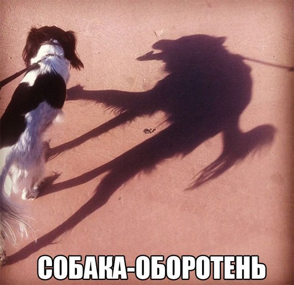 Подборка прикольных фото на пятницу