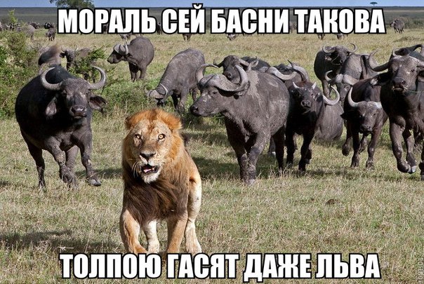 Весёлые картинки