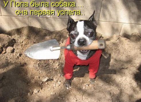 Картинки из сети, подборка