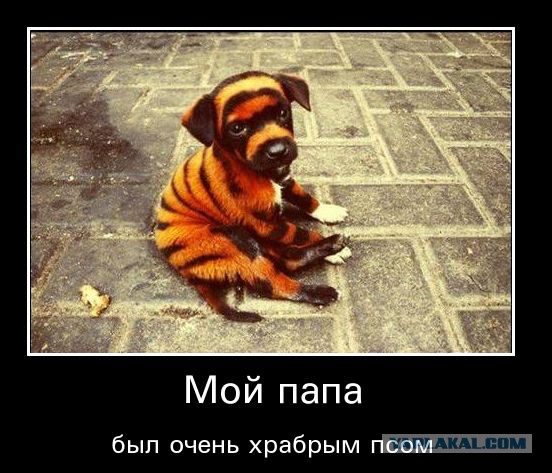 Эпические провалы