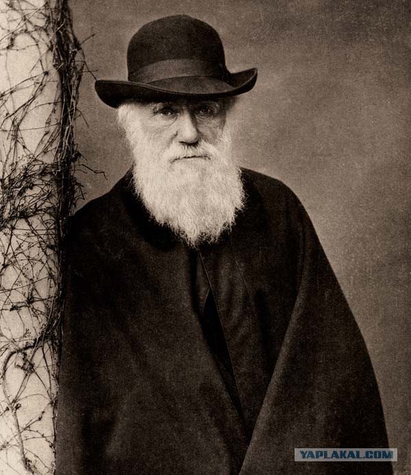 Вспыхнувший бензовоз поджег половину улицы в Египте